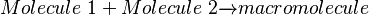  Molecule~1+ Molecule~2 \xrightarrow{} macromolecule 