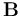 \mathbf{B}