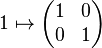 1 \mapsto \begin{pmatrix}
  1 & 0 \\
  0 & 1
\end{pmatrix}