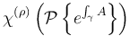 \chi^{(\rho)}\left(\mathcal{P}\left\{e^{\int_\gamma A}\right\}\right)