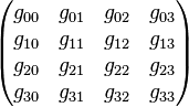 
\begin{pmatrix}
 g_{00} & g_{01} & g_{02} & g_{03} \\
 g_{10} & g_{11} & g_{12} & g_{13} \\
 g_{20} & g_{21} & g_{22} & g_{23} \\
 g_{30} & g_{31} & g_{32} & g_{33} \\
\end{pmatrix}
