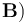 \mathbf{B})