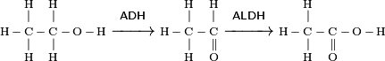 \begin{smallmatrix}
             &\text{H}&     &\text{H}&                          &                    &             &\text{H}&     &\text{H}&                      &             &\text{H}&     &        &                          \\
             &      | &     &      | &                          &\mathsf{ADH}        &             &      | &     &      | &\mathsf{ALDH}         &             &      | &     &        &                          \\
\text{H}\,-\!&\text{C}&\!-\!&\text{C}&\!-\,\text{O}\,-\,\text{H}&\xrightarrow{\qquad}&\text{H}\,-\!&\text{C}&\!-\!&\text{C}&\xrightarrow{\qquad\ }&\text{H}\,-\!&\text{C}&\!-\!&\text{C}&\!-\,\text{O}\,-\,\text{H}\\ 
             &      | &     &      | &                          &                    &             &      | &     &     \| &                      &             &      | &     &     \| &                          \\
             &\text{H}&     &\text{H}&                          &                    &             &\text{H}&     &\text{O}&                      &             &\text{H}&     &\text{O}&                          \\
\end{smallmatrix}