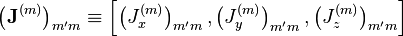 \left(\mathbf{J}^{(m)}\right)_{m'm} \equiv \left[\left(J_x^{(m)}\right)_{m'm}, \left(J_y^{(m)}\right)_{m'm}, \left(J_z^{(m)}\right)_{m'm}\right]