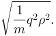 \sqrt{\frac{1}{m} q^2 \rho^2}.