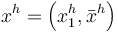 x^{h}=\left( x^{h}_{1}, \bar{x}^{h} \right)