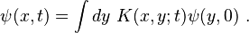 \psi(x,t)=\int dy~ K(x,y;t) \psi(y,0) ~.