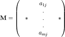 \mathbf{M}=\begin{pmatrix} & & & a_{1j} & &\\  & & &.& &\\  & *& &.& & *\\  & & &.& & \\   & & &a_{mj}& &\end{pmatrix}