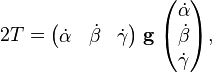 
2 T =
\begin{pmatrix} 
\dot{\alpha} & \dot{\beta} & \dot{\gamma}
\end{pmatrix}
\; \mathbf{g} \;
\begin{pmatrix} 
\dot{\alpha} \\ \dot{\beta} \\ \dot{\gamma}\\
\end{pmatrix},
