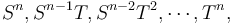 S^n,S^{n-1}T,S^{n-2}T^2,\cdots,T^n,