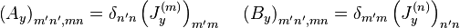 \left(A_y\right)_{m'n',mn} = \delta_{n'n} \left(J_y^{(m)}\right)_{m'm}\,\quad \left(B_y\right)_{m'n',mn} = \delta_{m'm} \left(J_y^{(n)}\right)_{n'n}