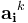 \mathbf{a_i}^k