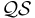 \mathcal{QS}