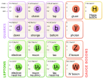 Standard Model of Elementary Particles.svg