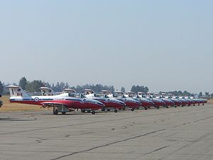 Snowbirds.JPG