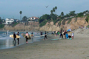 Several people, some wearing full length suits and carrying surf boards, on a beachfront with houses visible above them