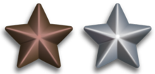 Silver and Bronze Service Stars.PNG