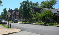 Homes across from Gravois Park in the neighborhood of the same name.