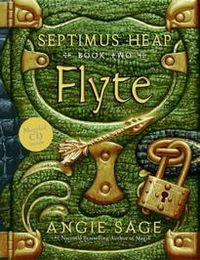 Flyte by angie sage.jpg