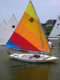 Sunfish rigged for sailing.jpg