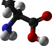 L-amino acid any.png