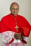 Cardinal Ranjith.jpg