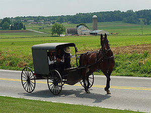 An Amish family in a horse-drawn square buggy passes a farmhouse, barn and granary; more farms and forest in the distance.