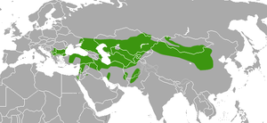 Marbled Polecat area.png