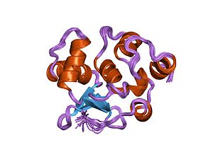 PDB 1r36 EBI.jpg