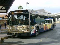 CAT Coach 915.JPG