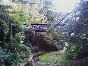 Picture of a wooden bridge over a stream