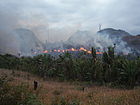 Illegal slash and burn in Madagascar