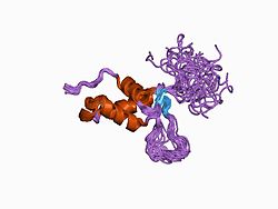 PDB 1d5v EBI.jpg