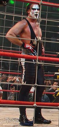 Man wearing black tights with black and white facepaint standing in a ring surrounded by a steel cage.