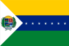 Flag of Apure State.svg