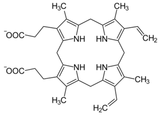 Protoporphyrinogen IX.svg