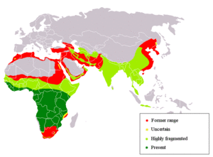 Leopard distribution2.gif