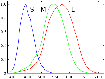 Cones SMJ2 E.svg