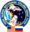 Sts-63-patch.png