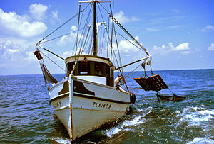 Photo of boat moving forward at sea. On each side, the boat has one pole pointing away from boat with nets attached