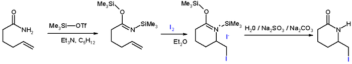 Iodolactamization reaction