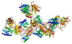 Protein TBP PDB 1c9b.png