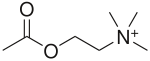 Acetylcholine.svg