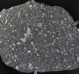 Allende meteorite.jpg