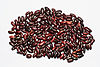 Red Rajma BNC.jpg