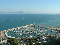 Port of Sidi Bou Said