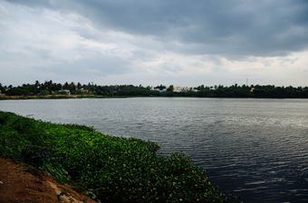 Water level in Chitlapakkam lake.jpg