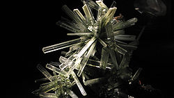 WLA hmns selenite.jpg