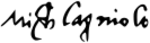 Michelangelo Signature2.svg