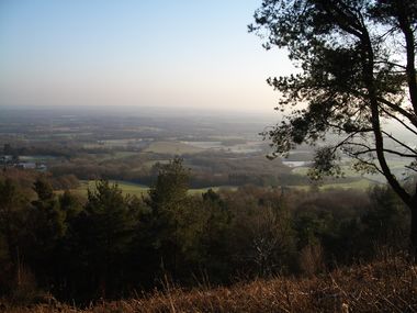 Leith hill 07.jpg